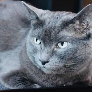 Meet your Posher, Kerri